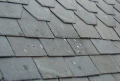 Slate Roof